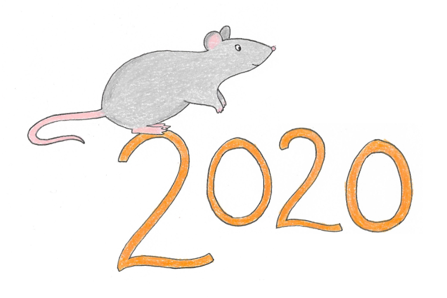 202 metal rat