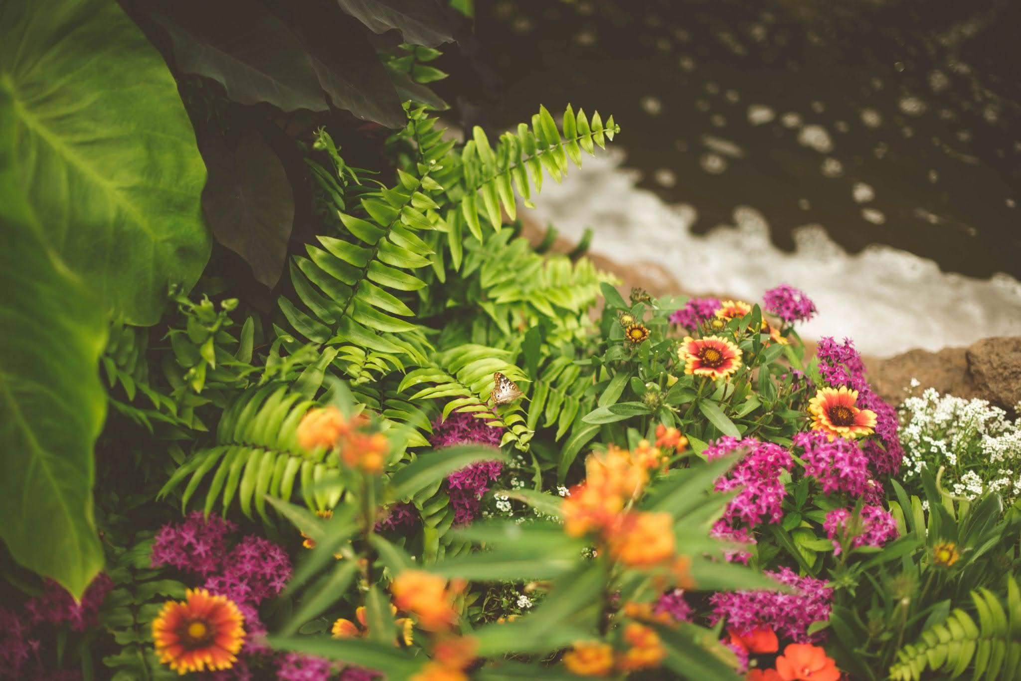 Nine feng shui gardening tips to invite joy, flow, and abundance