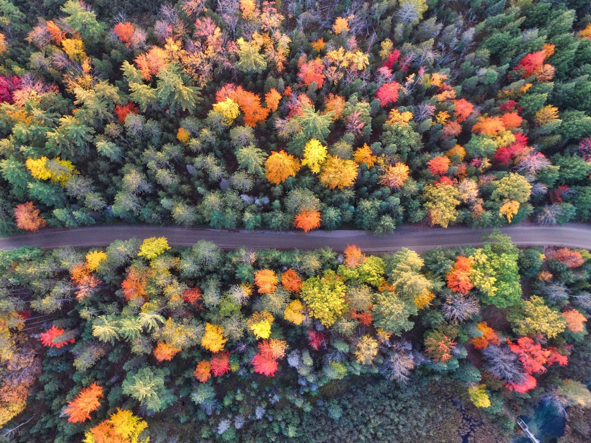 Three Simple Rituals to Celebrate the Autumn Equinox